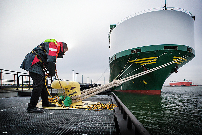 Port worker handling mooring lines beside a large cargo ship